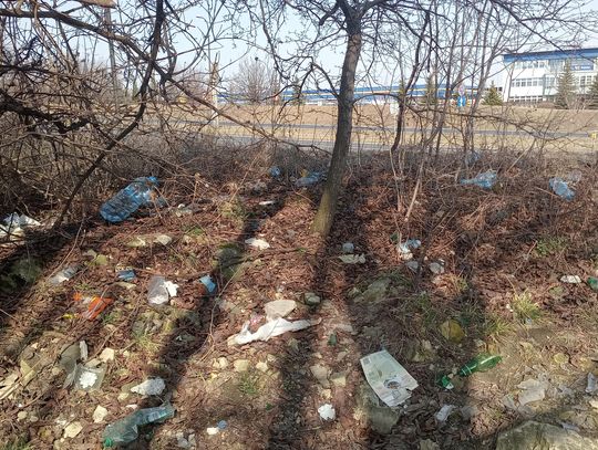 Dzikie wysypisko na Felinie ma zniknąć