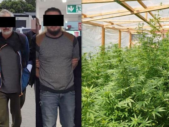 Hodowali narkotyki w tunelu. Grozi im 20 lat za kratkami