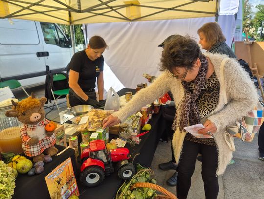 Ekologiczna żywność, gotowanie i muzyka. Pierwszy dzień kiermaszu na Placu Litewskim za nami