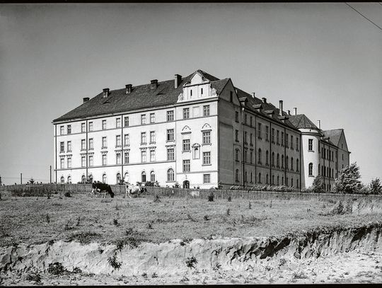 Elitarna Wieniawa. Miejscówka jak marzenie. Za szpitalem lekarze uprawiali warzywniak
