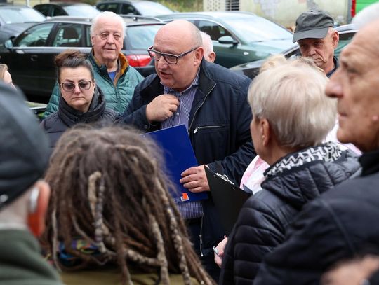 Drzewa kosztem parkingu czy parking kosztem drzew? Wieniawska walka o zieleń