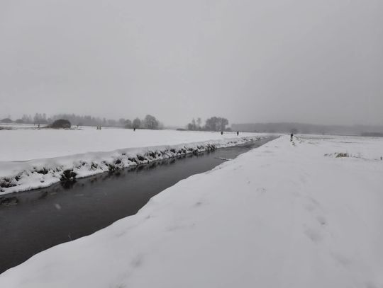 Włodawa Emilia