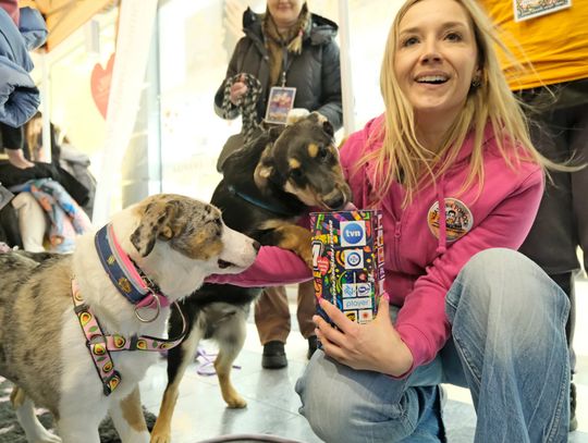 Trwa 34. zbiórka WOŚP. Pani Ewelina z synem Tymonem kwestują po raz pierwszy towarzyszy im suczka Tosia.