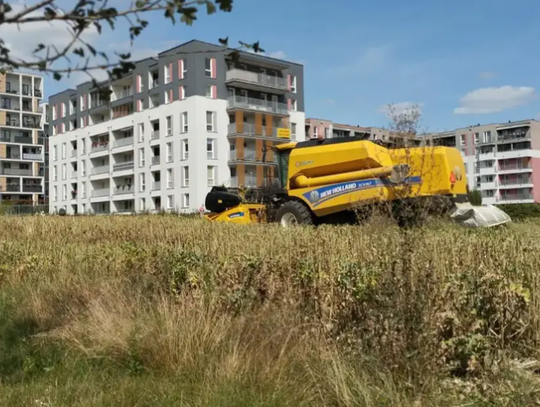 Ile kosztują mieszkania w Lubelskiem? Lublin dużo droższy od regionu, ale są zaskoczenia