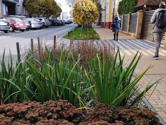 IX edycja Zielonego Budżetu w Lublinie. Miasto stawia na retencję wód opadowych IX edycja Zielonego Budżetu w Lublinie. Miasto stawia na retencję wód opadowych