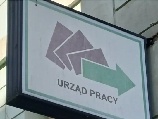 Kierowca może zarobić ponad 13 tys. zł. Sprawdź najlepiej opłacalne oferty pracy w województwie lubelskim