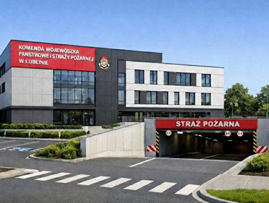wizualizacja psp