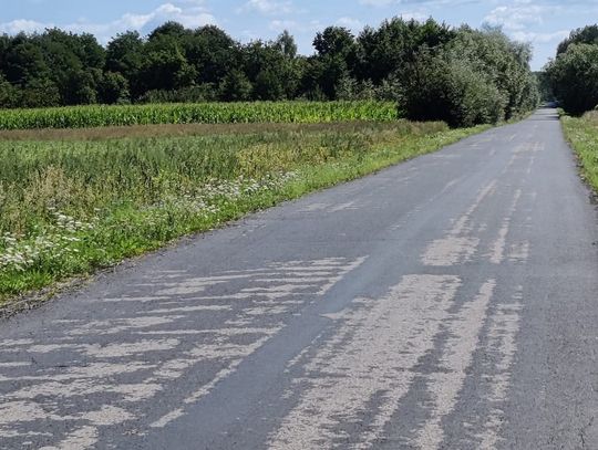 Droga Kroczyn Michałówka
