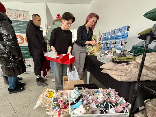 Koty w centrum uwagi. Światowy Dzień Kota w lubelskim schronisku