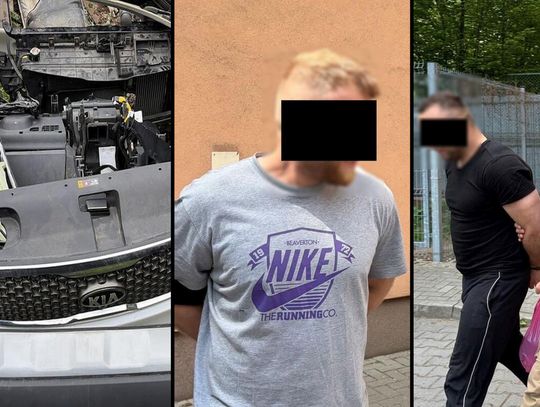 Kradli w kilku województwach. Dziupla zlikwidowana