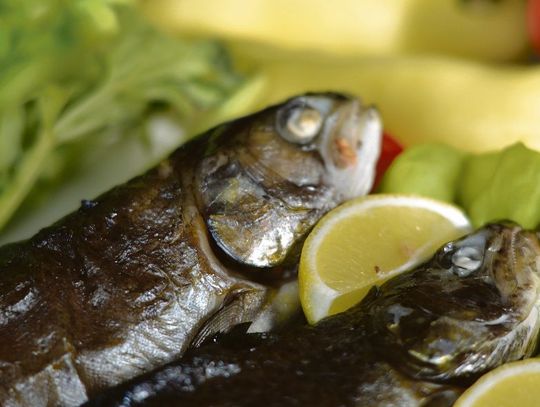 Lin czy sielawa. Lubelskie przypomina, że Polska była rybną potęgą kulinarną