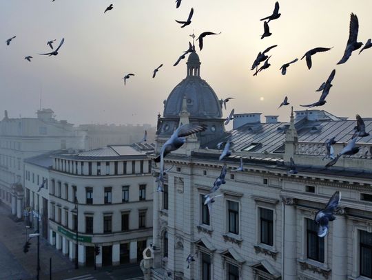 Lublin spowity mgłą. Zobacz jak magiczne jest miasto