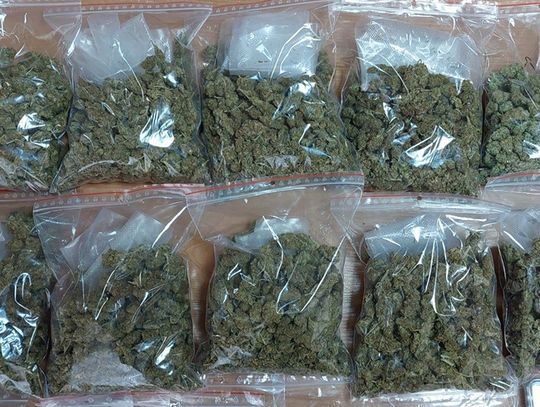 Marihuana Policja