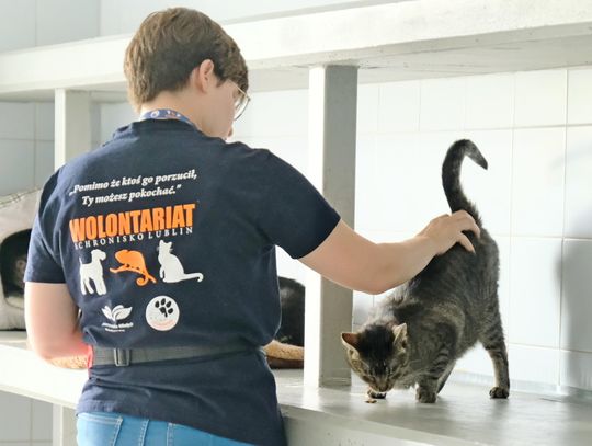 Wolontariuszka schroniska głaszcze kota