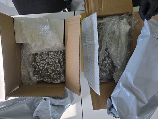 Marihuana w paczkach z Hiszpanii