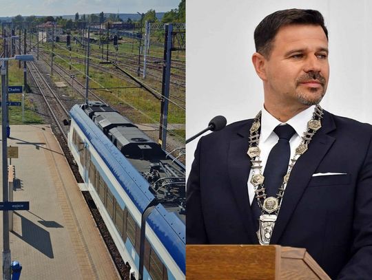 Tory pociąg
