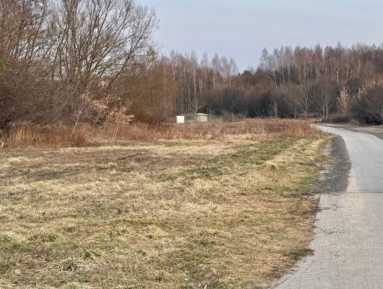 Na grilla nad Czechówkę? Niebawem to będzie możliwe