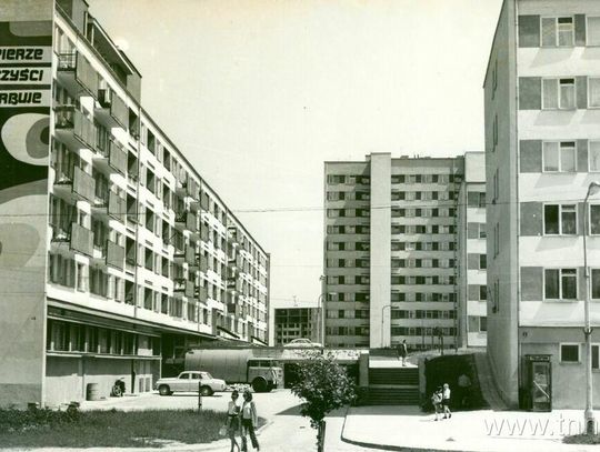 Na Okrzei psy biegały razem ze szczurami
