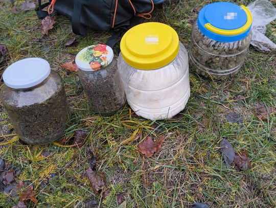 Narkotykowy duet rozbity. Skuteczna akcja włodawskich kryminalnych Narkotykowy duet rozbity. Skuteczna akcja włodawskich kryminalnych