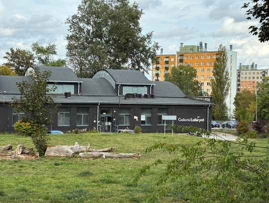 Nie było „ataku” chłopców na Galerię Labirynt? Prokuratura o skargach na plucie i agresję