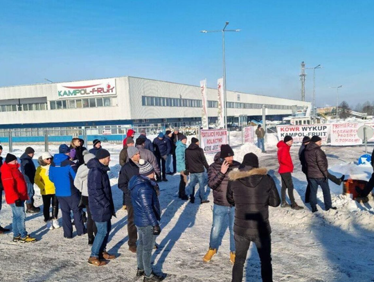 Nie wpłynęła żadna oferta. Kampol-Fruit na sprzedaż w częściach