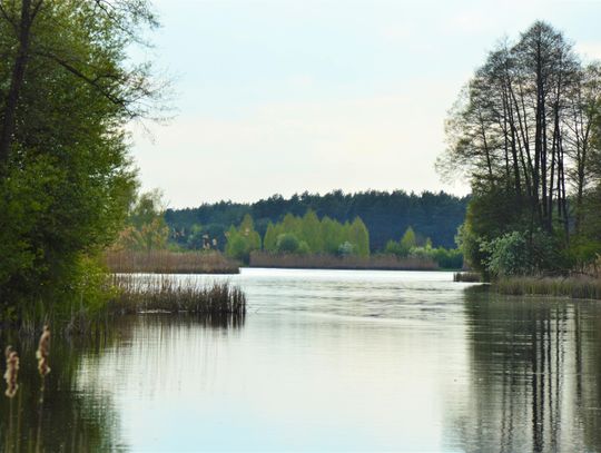 Nieoczywiste Lubelskie- 5 miejsc na majówkę, o których mało kto słyszał.