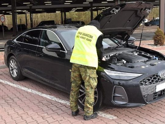 Nowe Audi “czyste” nie było. Granica nie przepuściła Audi Terespol