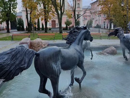 Nowy rok, nowe granice. Janów Podlaski znów miastem, Chełm traci kolejne hektary