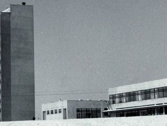 Obiady w Jagience i rozejm w mirabelkach