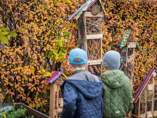 Ogród Zmysłów i Spotkań na lubelskich Czubach. Nowa przestrzeń do odpoczynku i integracji