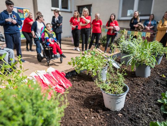 Ogrody zamiast nieużytków. Lubelskie inicjatywy podsumują rok działań