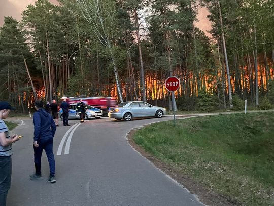 Ogromny pożar lasu w biłgorajskim. Z żywiołem walczy ponad 200 strażaków