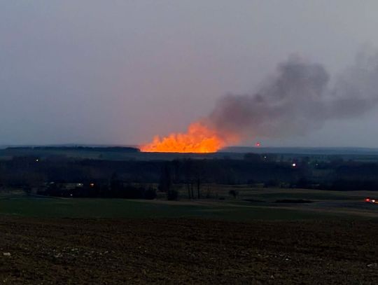 Olbrzymi pożar traw