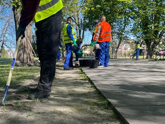 Osadzeni biorą miotły w dłonie i sprzątają. Na początek Park Miejski