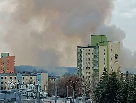 Palą się trawy za lubelskim osiedlem Widok