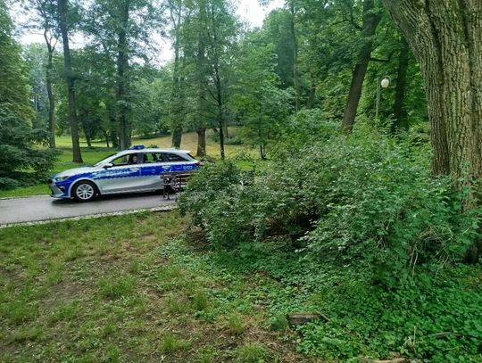 „Pani wie, że nie lubimy Żydów” i „stara szmato”. Incydenty w Ogrodzie Saskim