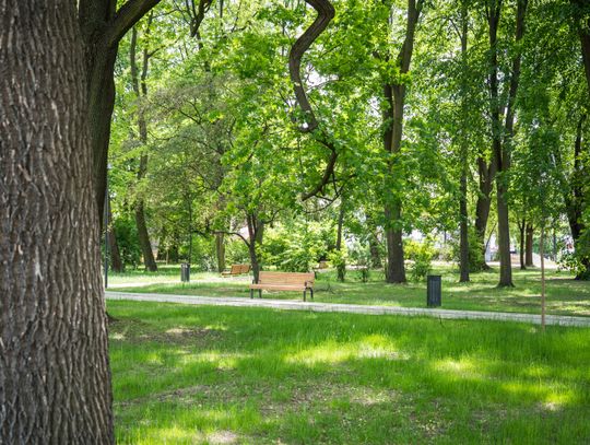 Odnowiony Park Bronowicki w Lublinie po zakończonej rewaloryzacji. W parku powstały nowe alejki, nasadzenia zieleni oraz miejsca do wypoczynku dla mieszkańców.