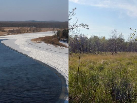 Park na Roztoczu „skurczy się” o 584 hektary. Nowe granice i zakazy nad Bugiem