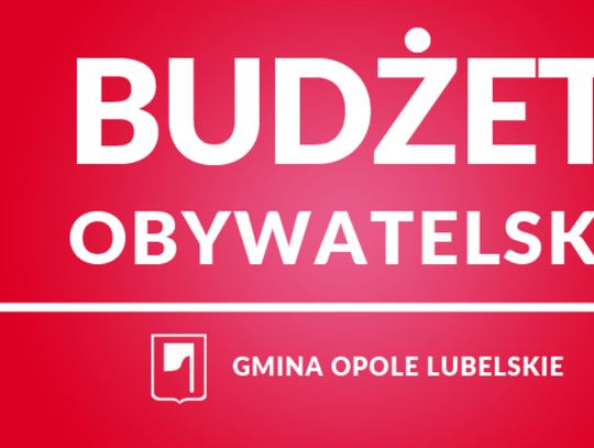 Pięć projektów powalczy o głosy mieszkańców. Są już wyniki weryfikacji