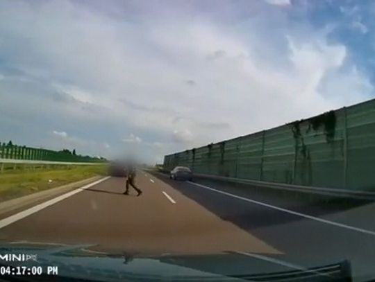Pieszy wszedł między pędzące auta. Niebezpieczna sytuacja na S17 pod Lublinem