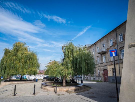 Plac Rybny czeka przebudowa. Miasto szuka wykonawcy