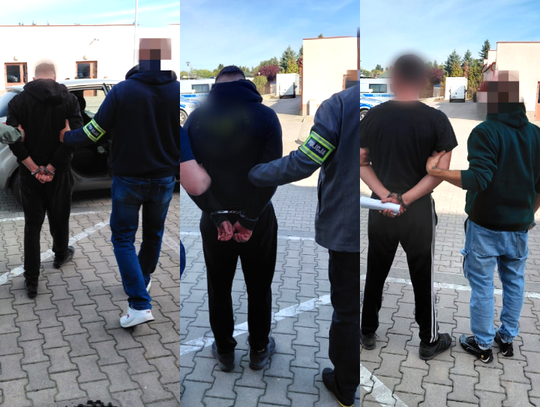 Plantacja konopi w lesie pod Łęczną. Trzech mężczyzn trafiło do aresztu