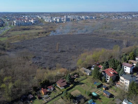 Płoną trawy w Lublinie. Na miejscu 7 zastępów strażaków