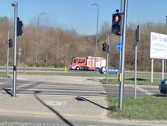 Płonął trawy w Lublinie. Na miejscu 7 zastępów strażaków Płonął trawy w Lublinie. Na miejscu 7 zastępów strażaków