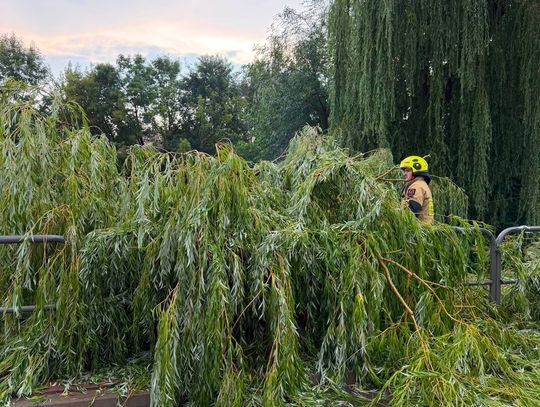Potężne burze i silny wiatr. Ponad setka interwencji strażaków