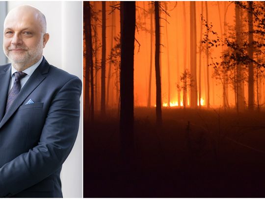 Pożar strawił setki hektarów. Przyroda się odbuduje, ale straty są realne