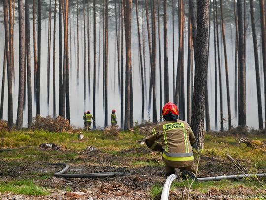 Pożar w Puszczy Solskiej. Sytuacja trudna, możliwa ewakuacja mieszkańców