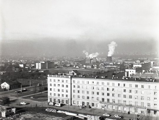 Prawdziwy cyrk z okna przy Krańcowej