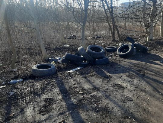 Przy ul. Mickiewicza w Lublinie nie żyje się łatwo Wiosna, która w ostatnich dniach na dobre zawitała do naszego otoczenia, odsłoniła również to, co przez kilka miesięcy skutecznie ukrywały późna jesień i zima. Topniejący śnieg i znikająca z przydroży szarość ujawniły niestety nieprzyjemny widok – dziesiątki pustych butelek z tworzywa sztucznego.