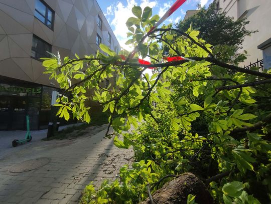 Według synoptyka Instytutu Meteorologii i Gospodarki Wodnej w niedzielę na wschodzie wystąpi zachmurzenie z przelotnymi opadami deszczu oraz z silnym, porywistym wiatrem. Miejscami także opady deszczu ze śniegiem i samego śniegu. Możliwe krótkotrwałe burze.